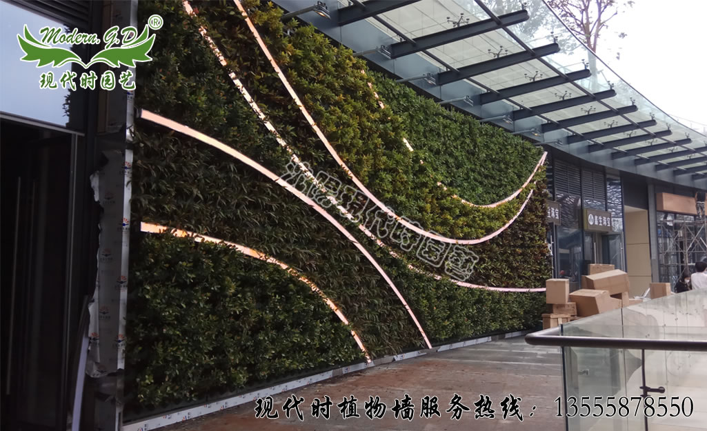 ���ں������V��ֲ�����